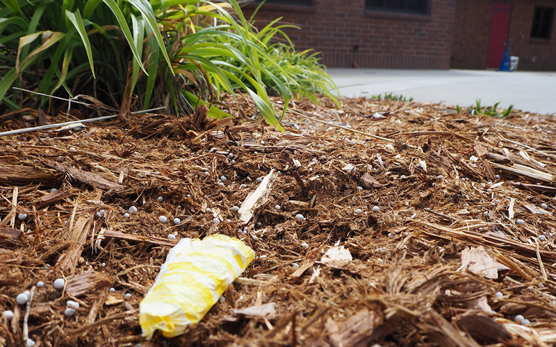 A piece of trash lays in the flowerbed. Photo by Zach Fink 