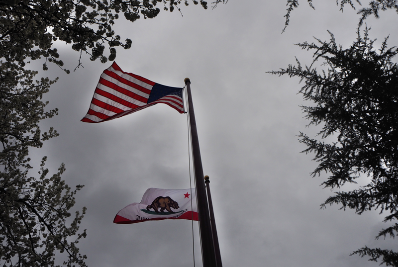 The American flag flies at full mast at Bear River High School. Photo by Maddie Meilinger