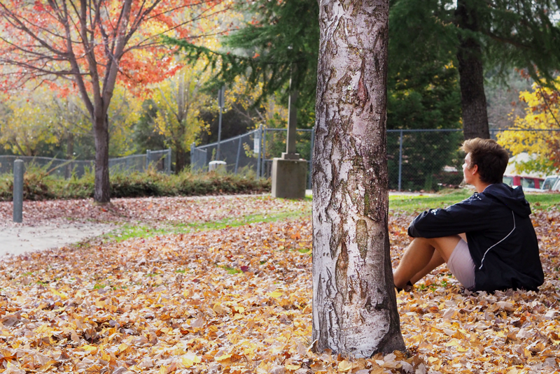Senior Chris Elias sits among the fall leaves that are everywhere across campus.  Photo by Zach Fink  