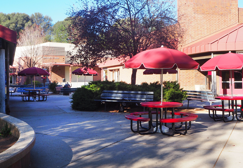 Students can receive multiple days of breakfasts and lunches on the designated pick up day. Photo by Karissa Johnson. 