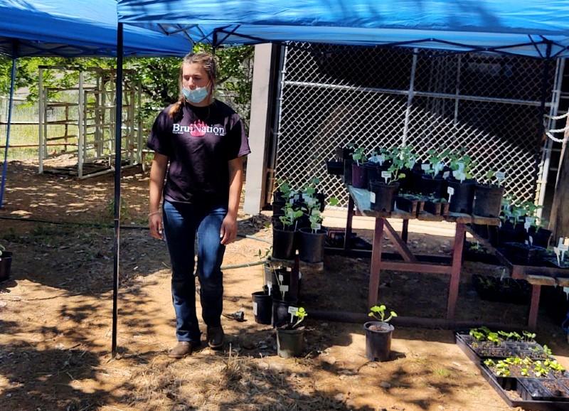 Bear Rivers Horticulture program welcomed a new plant sale event this year to showcase students efforts in class. Courtesy Photo