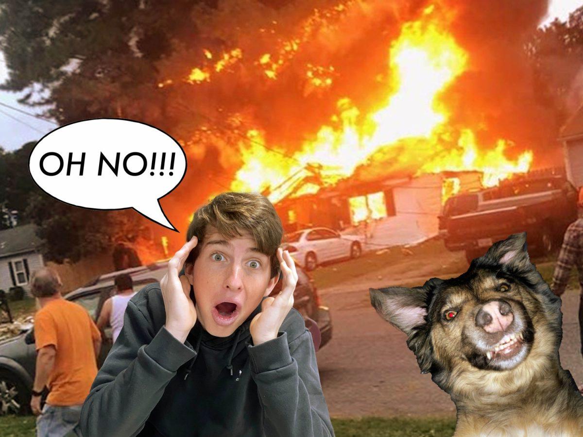 Blaze is quite pleased with her role in blowing up Austin Phipps homework. Photo illustration by Austin Reyes and Ethan Hurd
