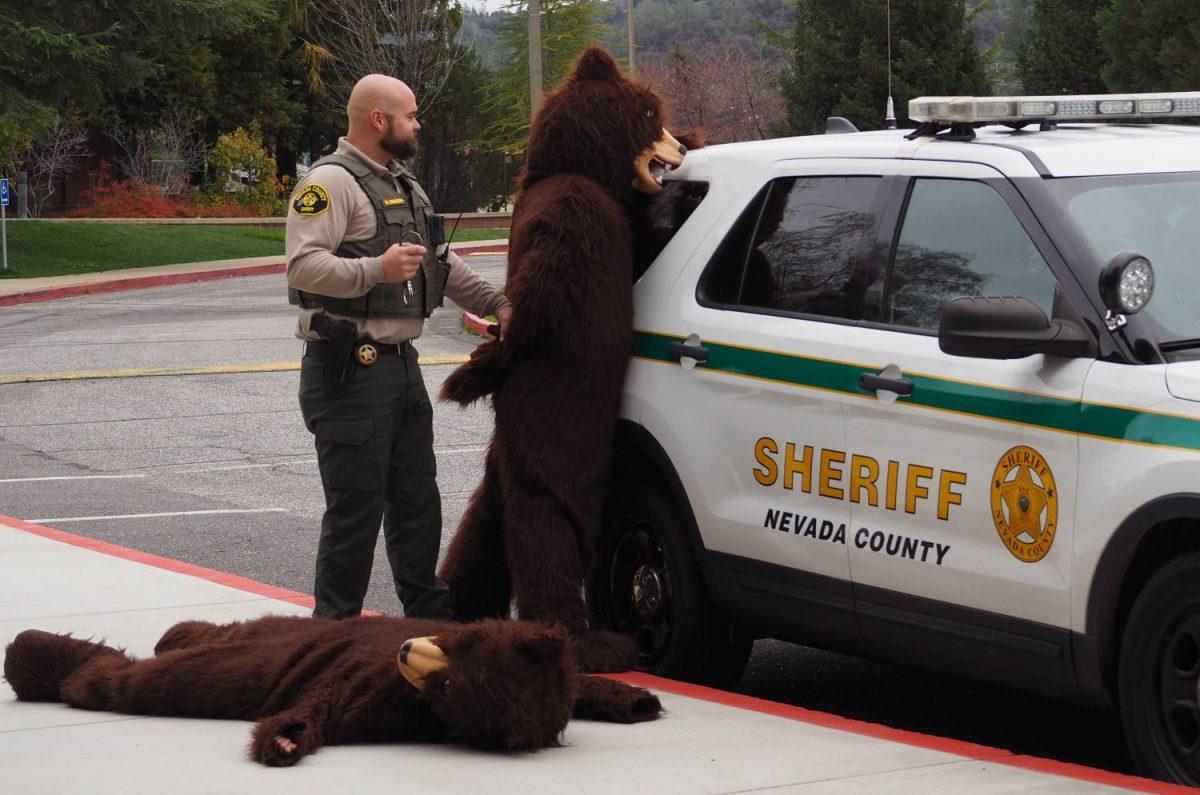 Deputy Micah Arbaugh takes Boog into custody following the mysterious death of Baloo. The investigation has ripped apart the Bear River community. Photo by Maya Bussinger