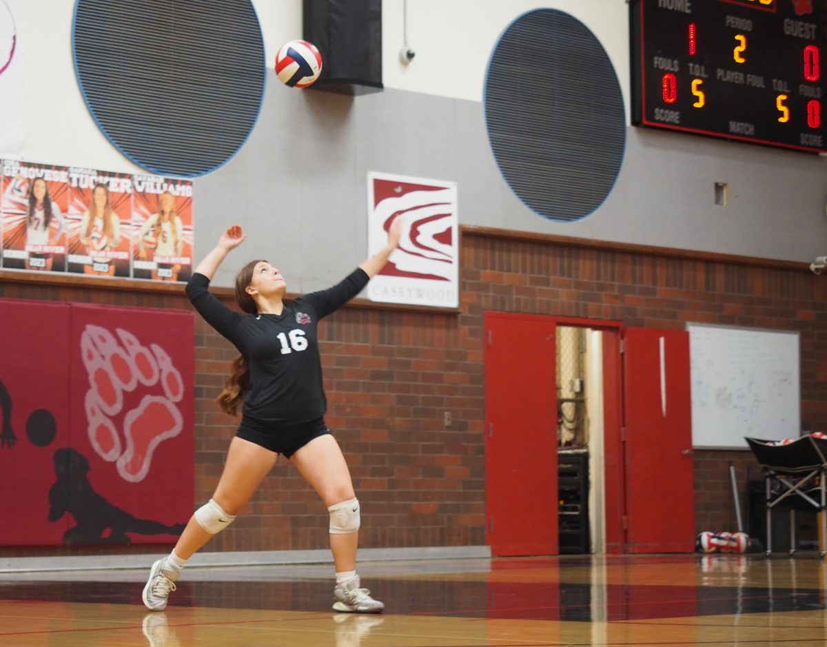 Brooke Milligan of Bear River unleashes a serve against Lindhurst on Sept. 27. The JV team finished undefeated.