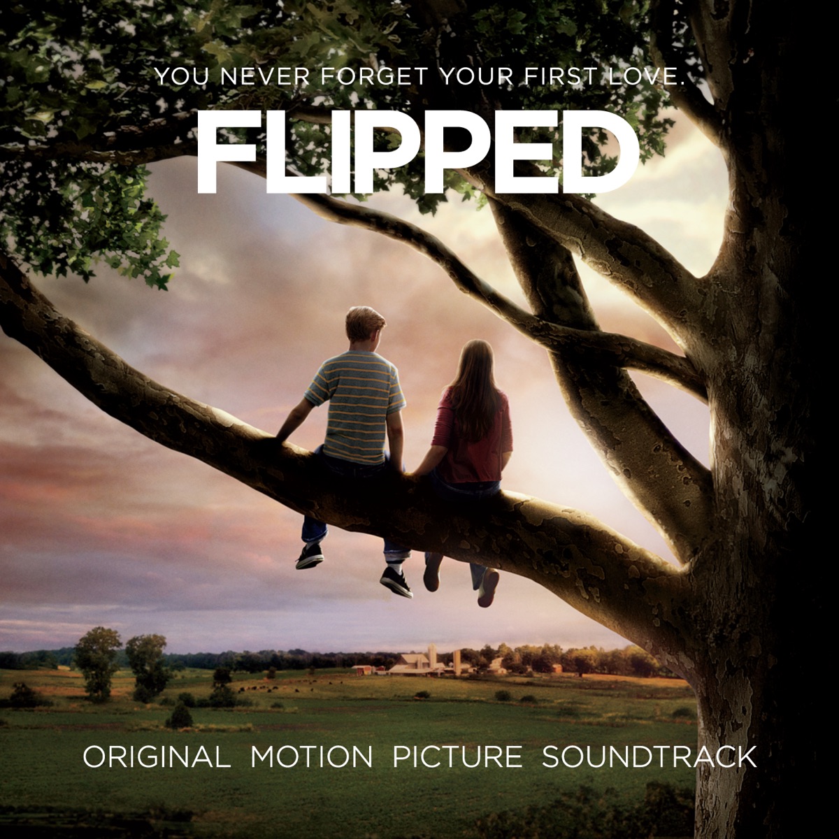 Flipped is a movie about young love, and is well worth your time.