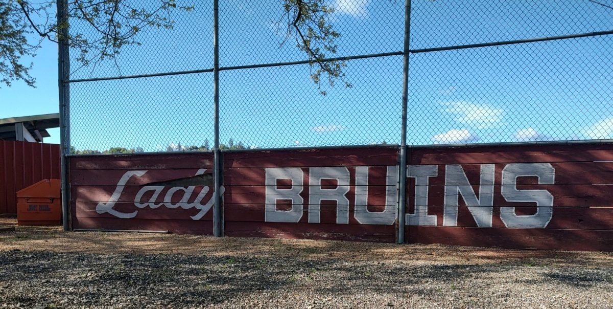 The Bear River JV softball field prominently saying Lady Bruins.