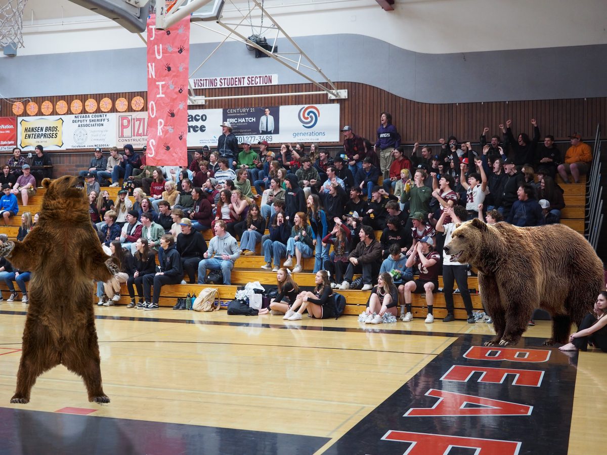 After decided to use live grizzlies in an assembly, nobody has seen Activities Director Jessica Lee. Authorities are not commenting at this time.