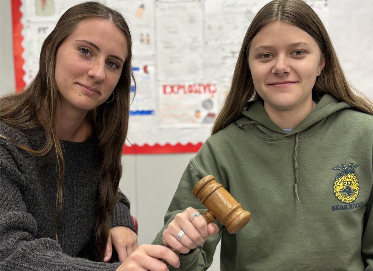 Audra Paasch (10) and Kristi Brink (12) hold the famous Parliamentary Procedure gavel. While Paasch does Creed, both have competed at the state level for Parli Pro. 
