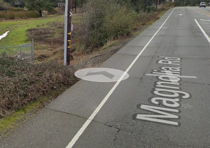 Google view of the crosswalk
