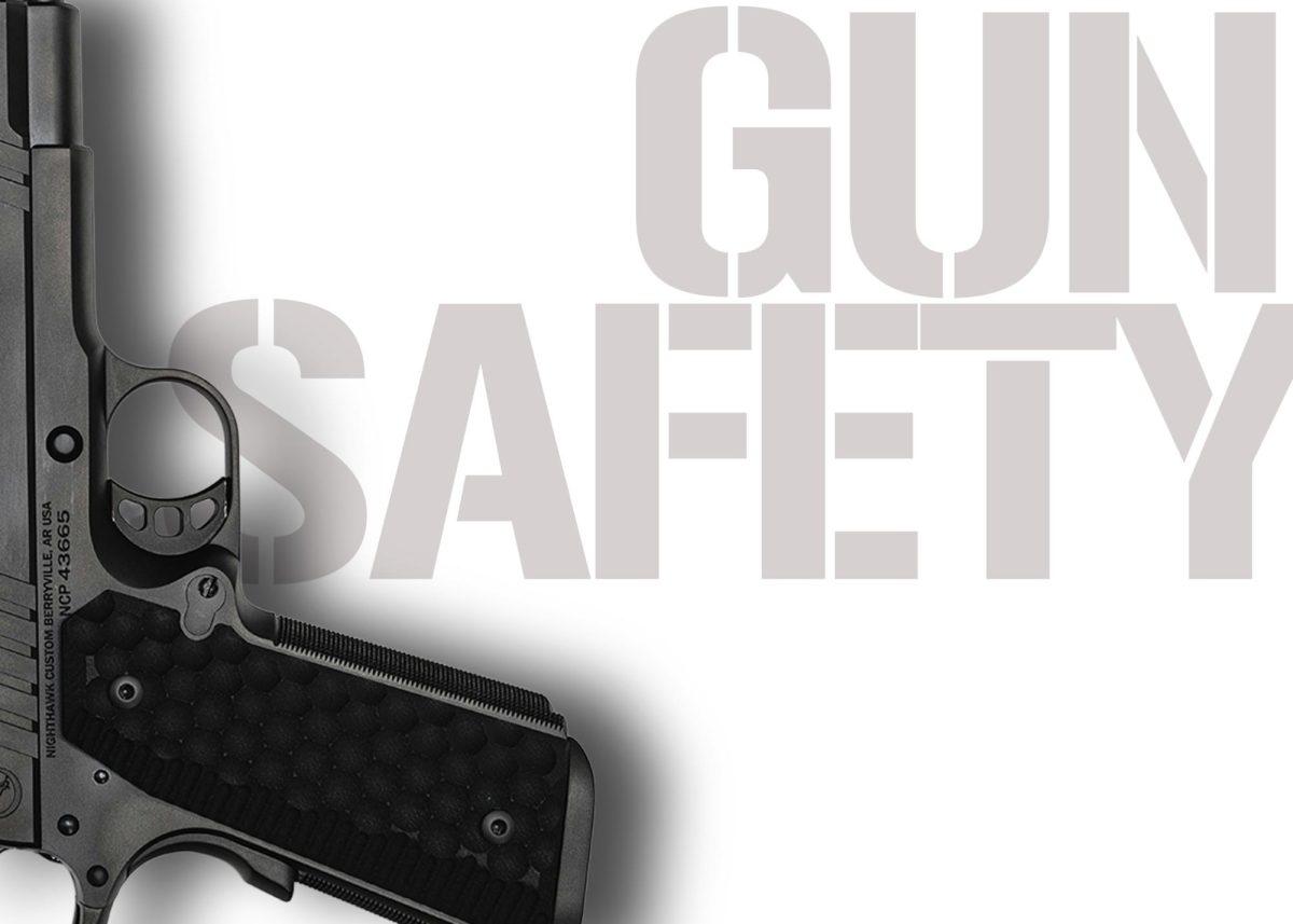Schools Could Have A Role In Gun Safety