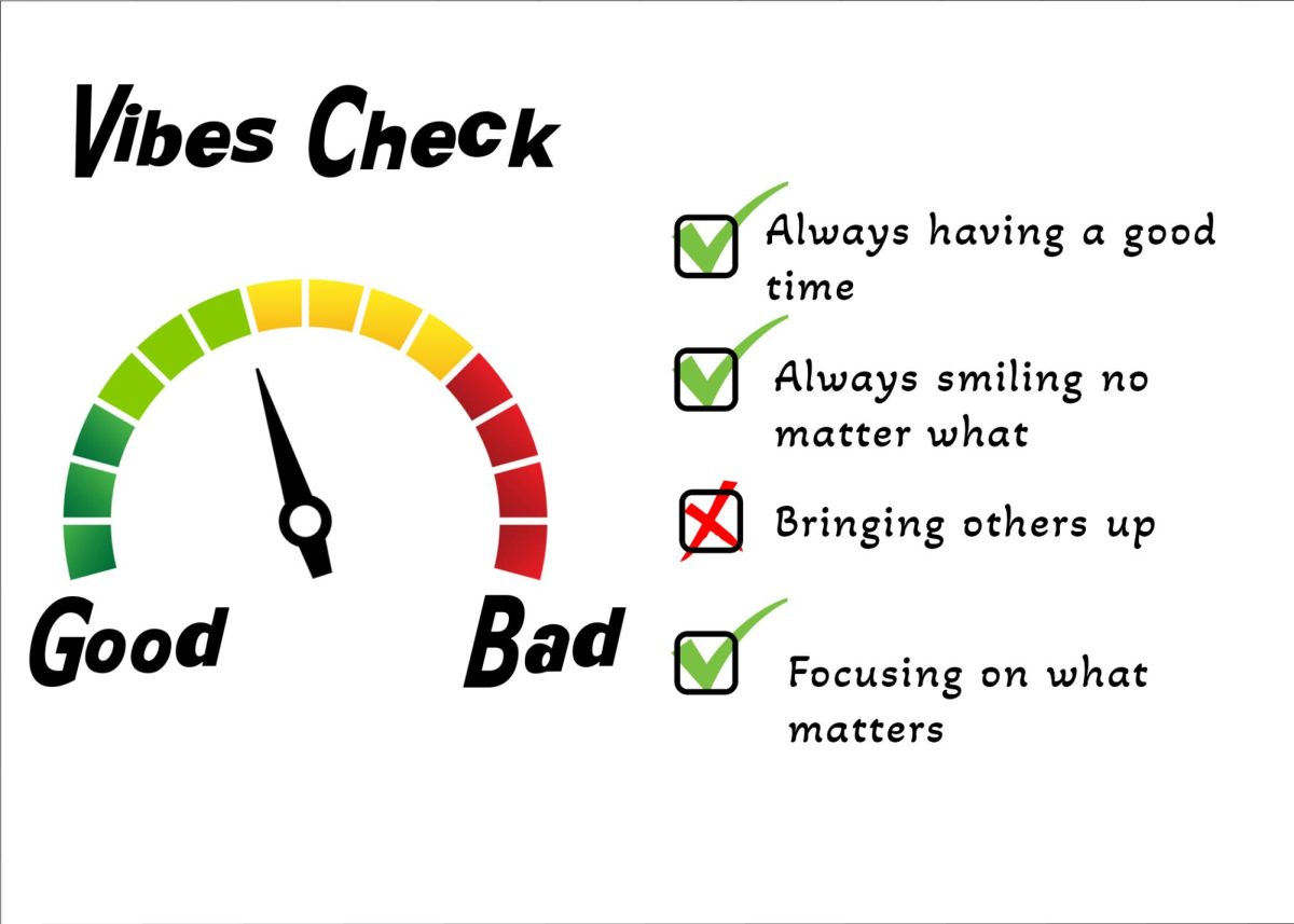 Vibe Checks will replace progress reports starting immediately for all Bear River students.