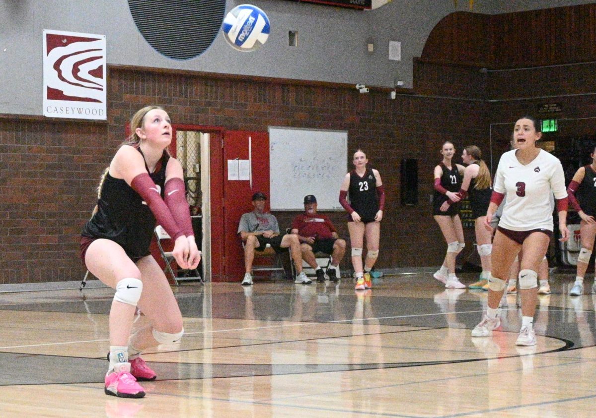 Grace McKeown has put in the work to become a dominant force on the volleyball court — both for Bear River and her club.